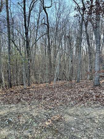 0.25 Acres of Land for Sale in Crossville, Tennessee