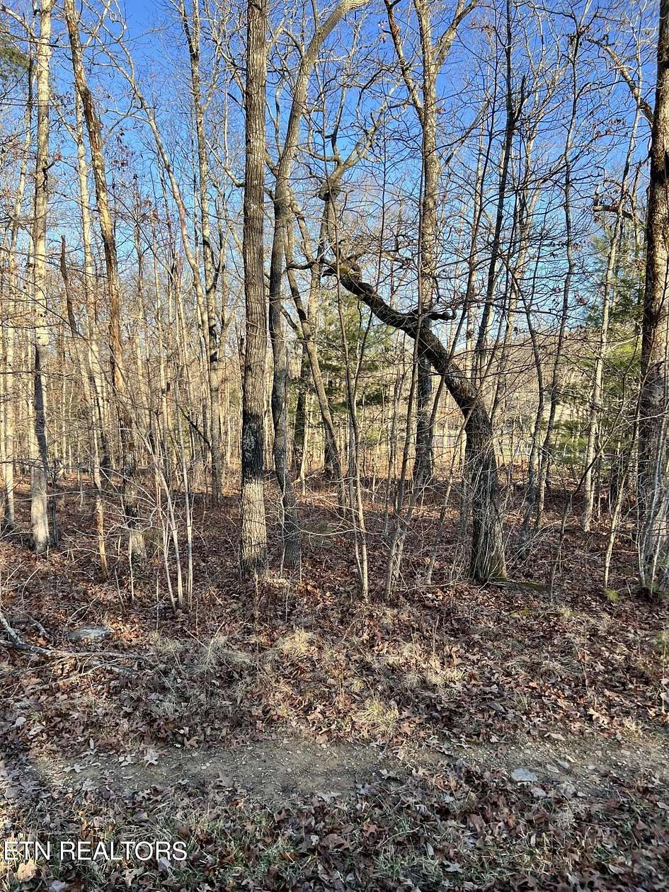 0.25 Acres of Land for Sale in Crossville, Tennessee