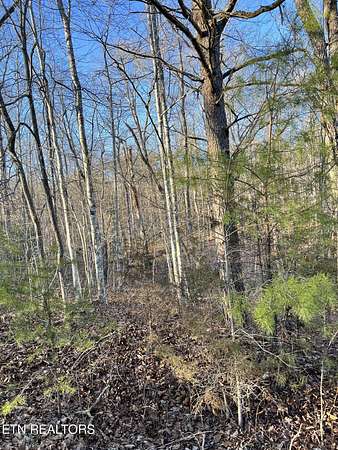 0.26 Acres of Land for Sale in Crossville, Tennessee