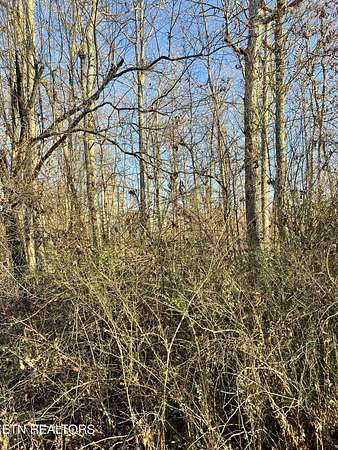 0.24 Acres of Land for Sale in Crossville, Tennessee