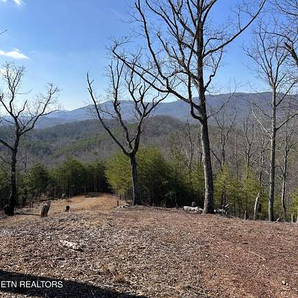 7.3 Acres of Residential Land for Sale in Tellico Plains, Tennessee