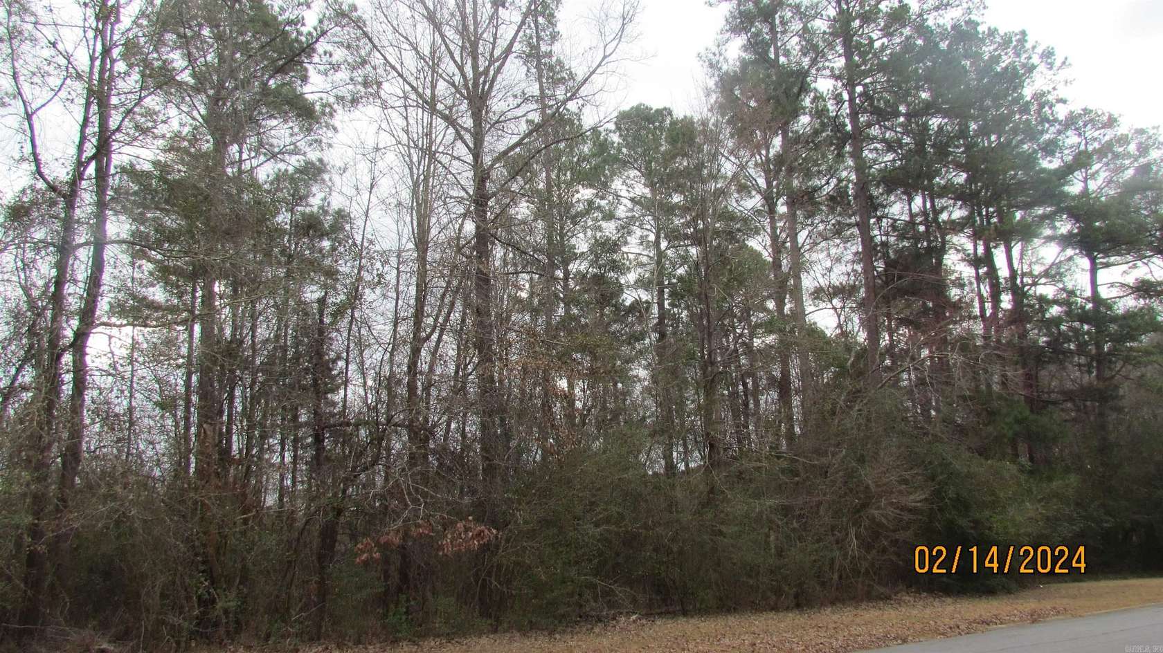 40 Acres of Recreational Land for Sale in Hamburg, Arkansas