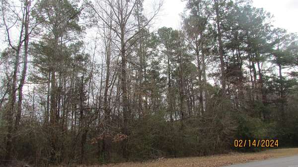 40 Acres of Recreational Land for Sale in Hamburg, Arkansas