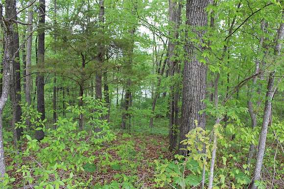 0.36 Acres of Residential Land for Sale in Poplar Bluff, Missouri