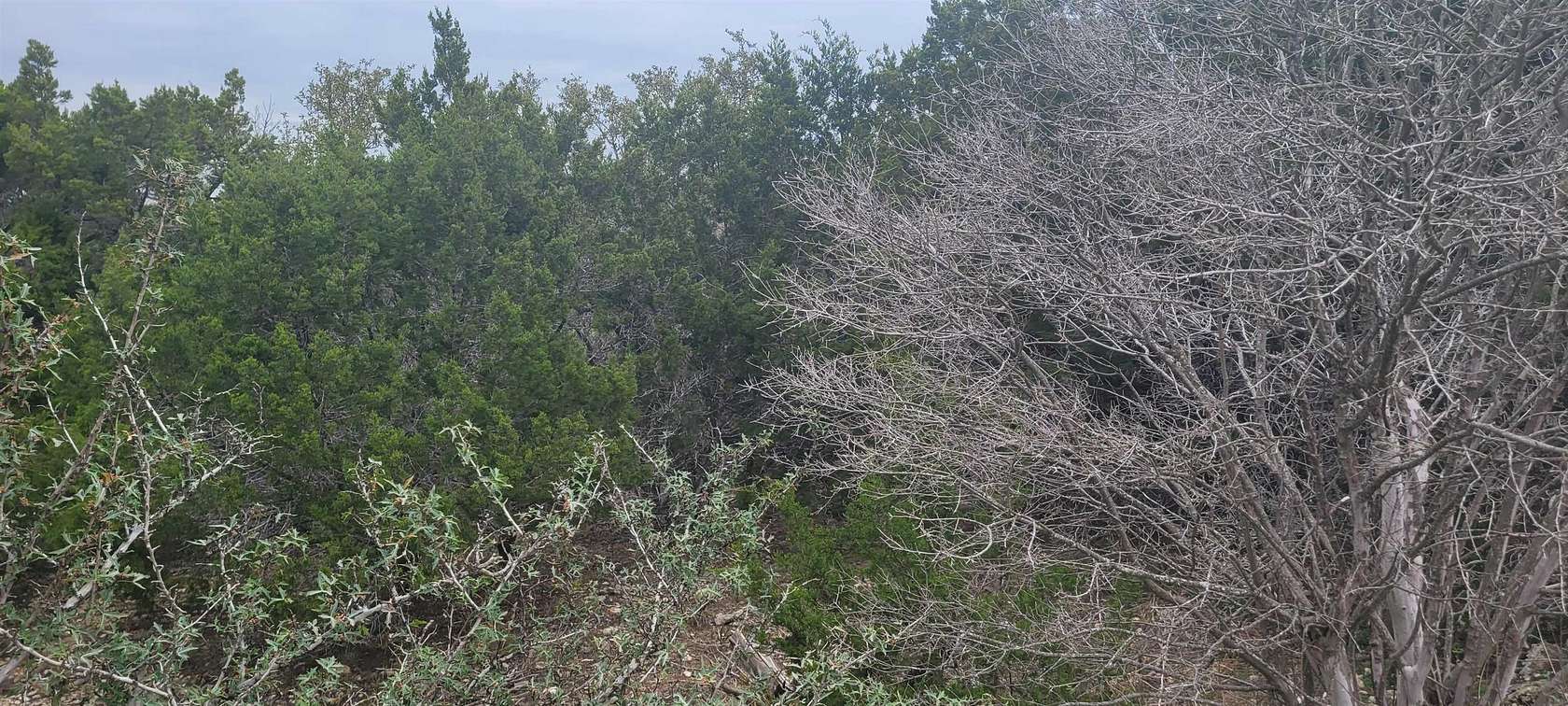 1.2 Acres of Residential Land for Sale in Canyon Lake, Texas