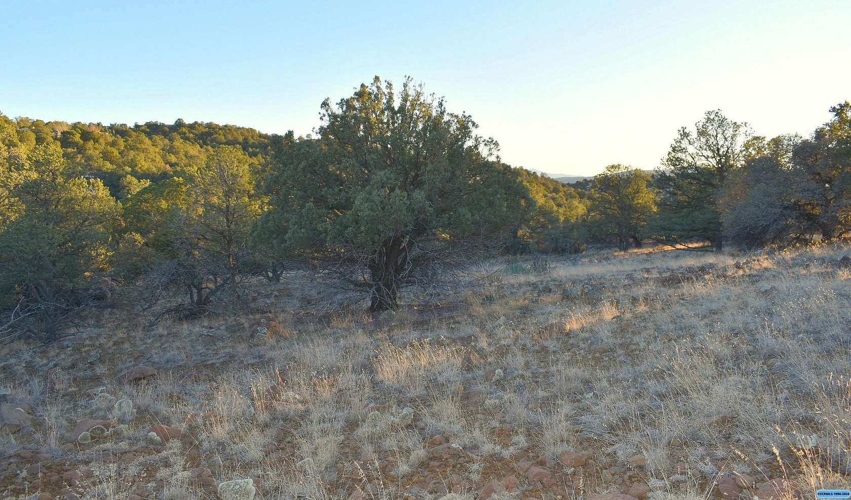 1.3 Acres of Residential Land for Sale in Silver City, New Mexico