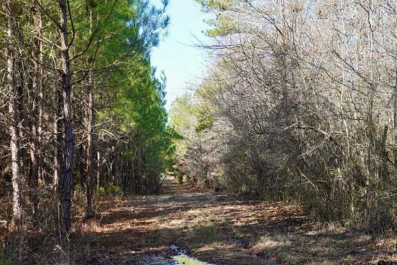 265 Acres of Recreational Land for Sale in Collinsville, Mississippi