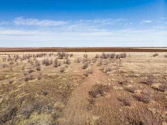 25 Acres of Agricultural Land for Sale in Hale Center, Texas