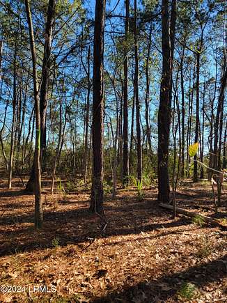 3.1 Acres of Residential Land for Sale in Dale, South Carolina