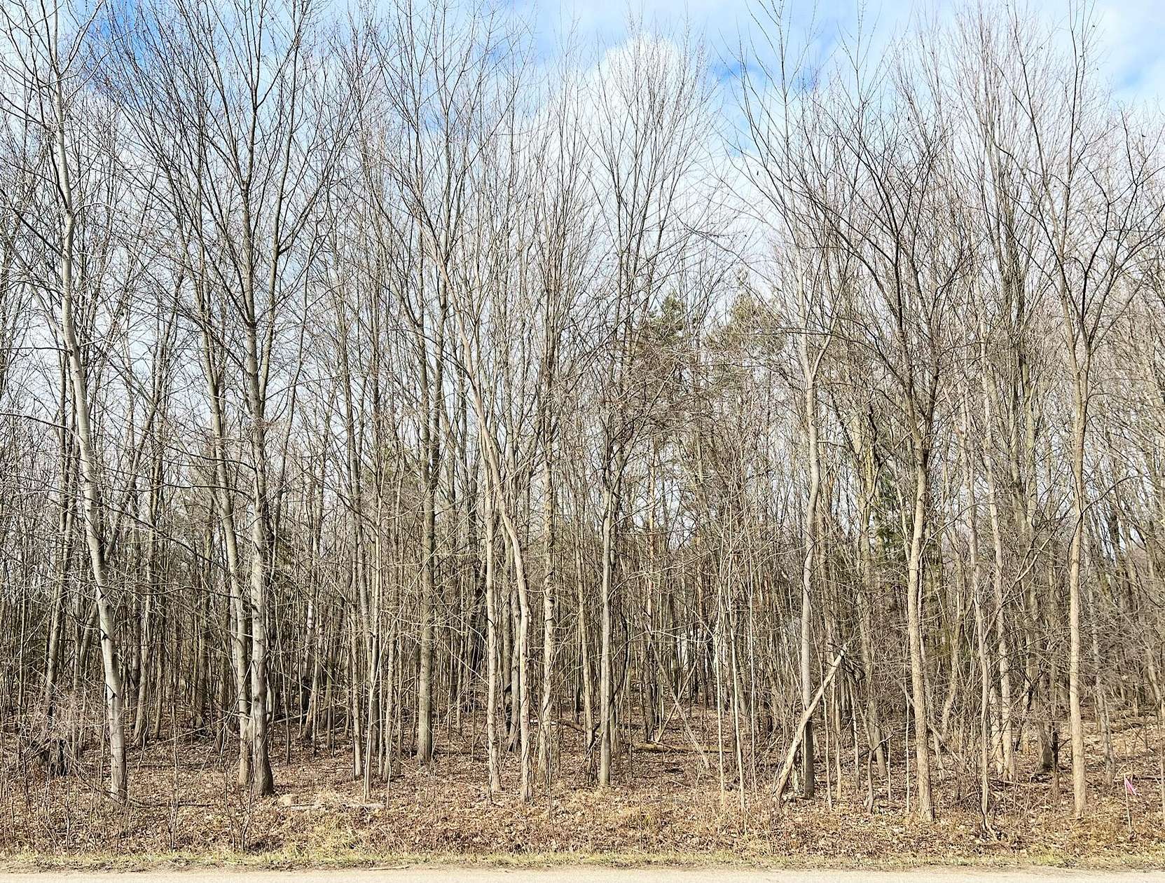 2.1 Acres of Land for Sale in Nunica, Michigan