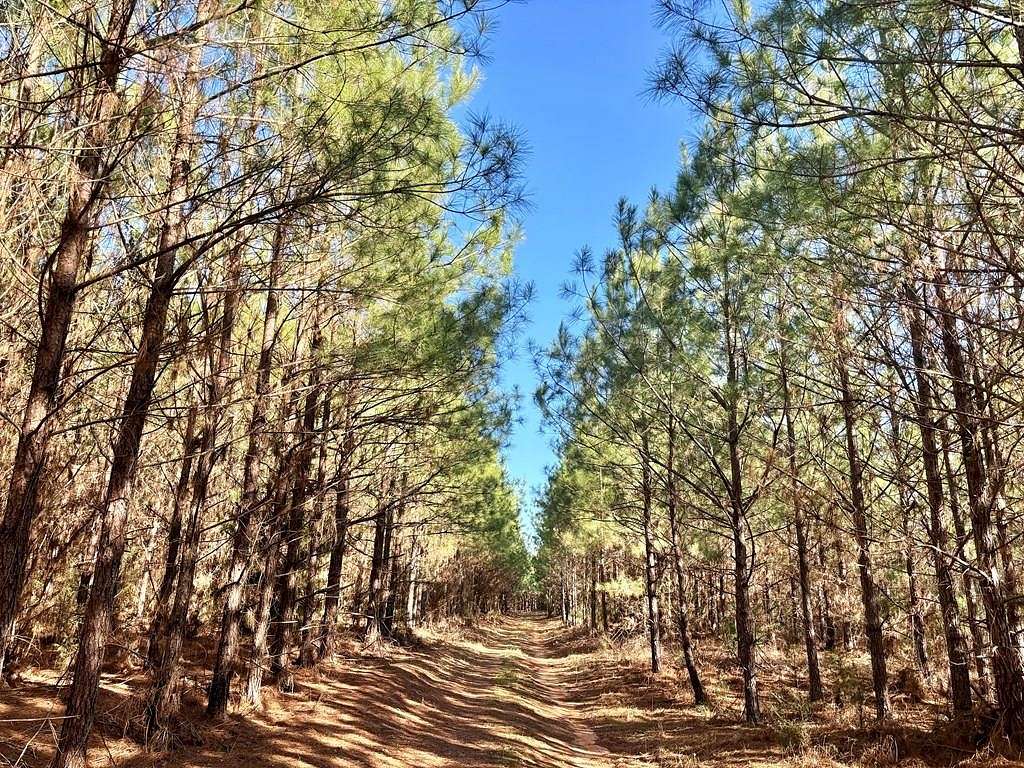 Land for Sale in Clayton, Alabama