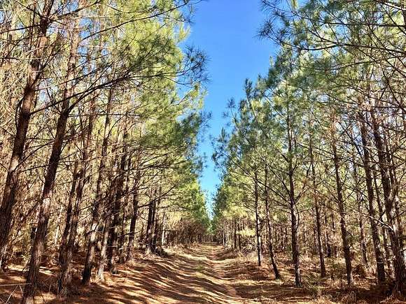 Land for Sale in Clayton, Alabama