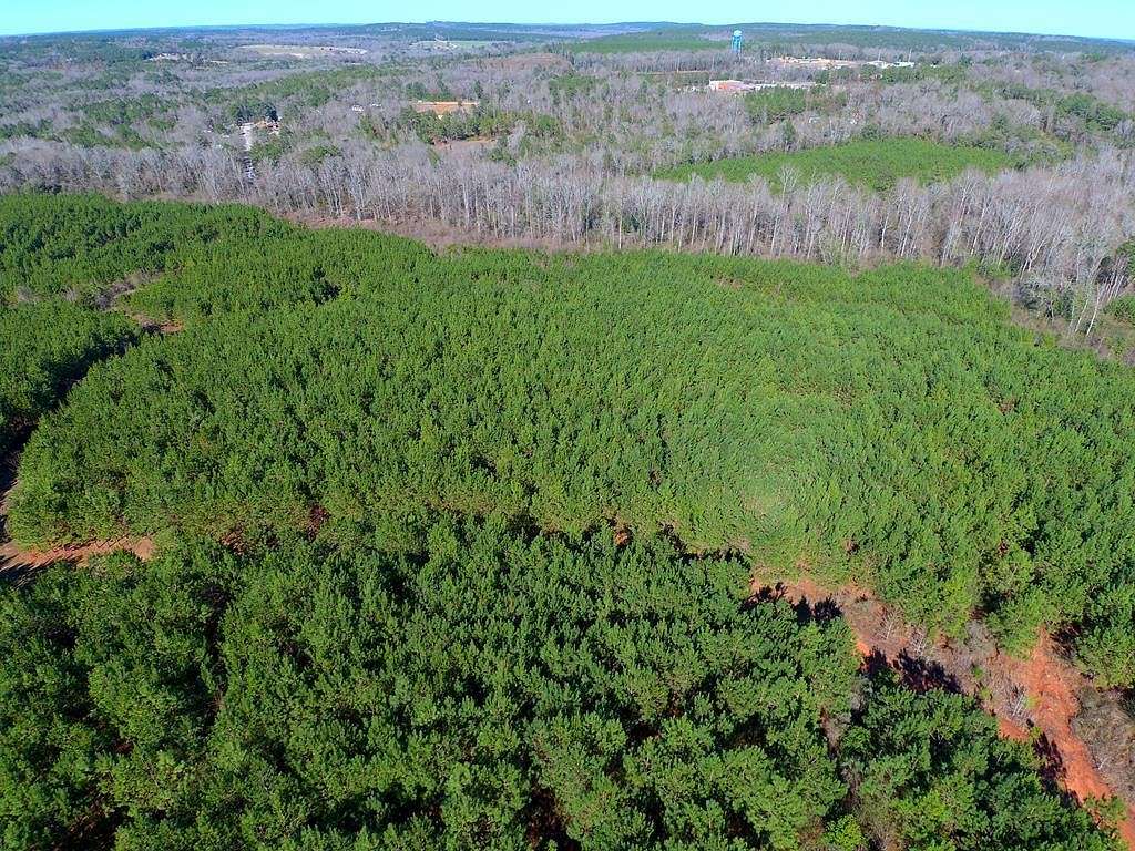 317 Acres of Recreational Land for Sale in Clayton, Alabama