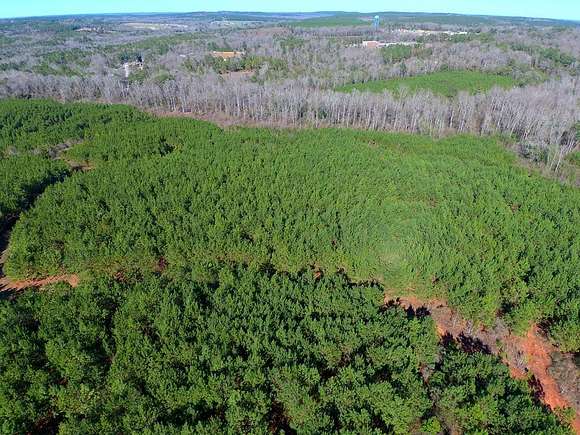 317 Acres of Recreational Land for Sale in Clayton, Alabama