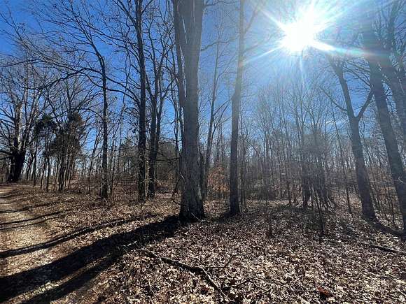 15.2 Acres of Recreational Land for Sale in Wax, Kentucky