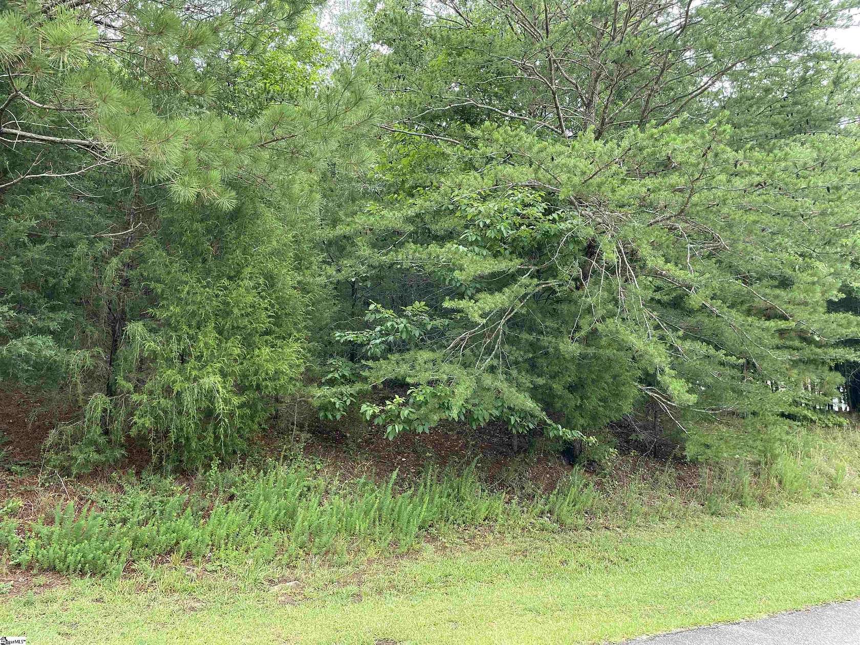 0.83 Acres of Residential Land for Sale in Laurens, South Carolina
