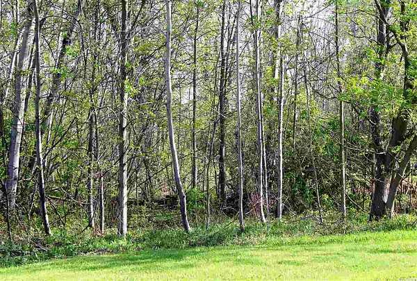 0.22 Acres of Land for Sale in Ogdensburg, New York
