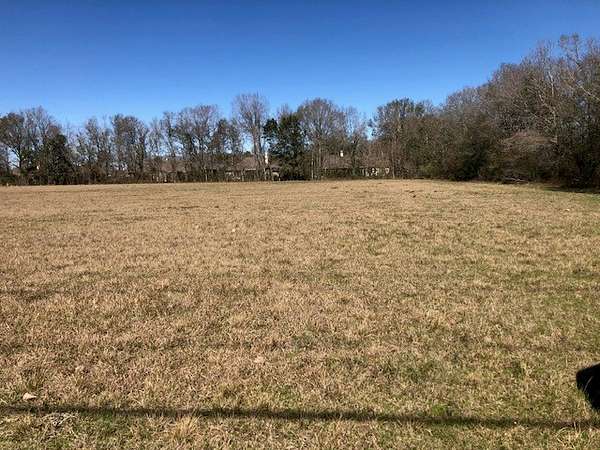 3 Acres of Land for Sale in Maurice, Louisiana