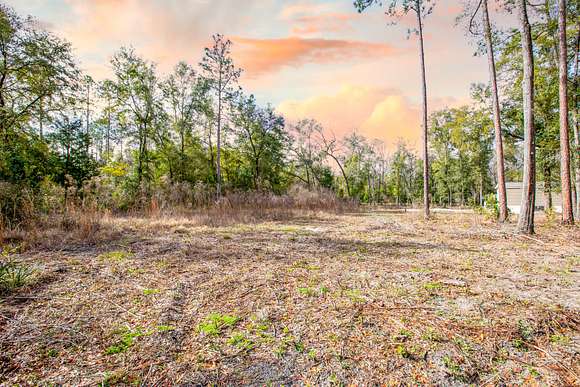 0.91 Acres of Residential Land for Sale in Fort White, Florida