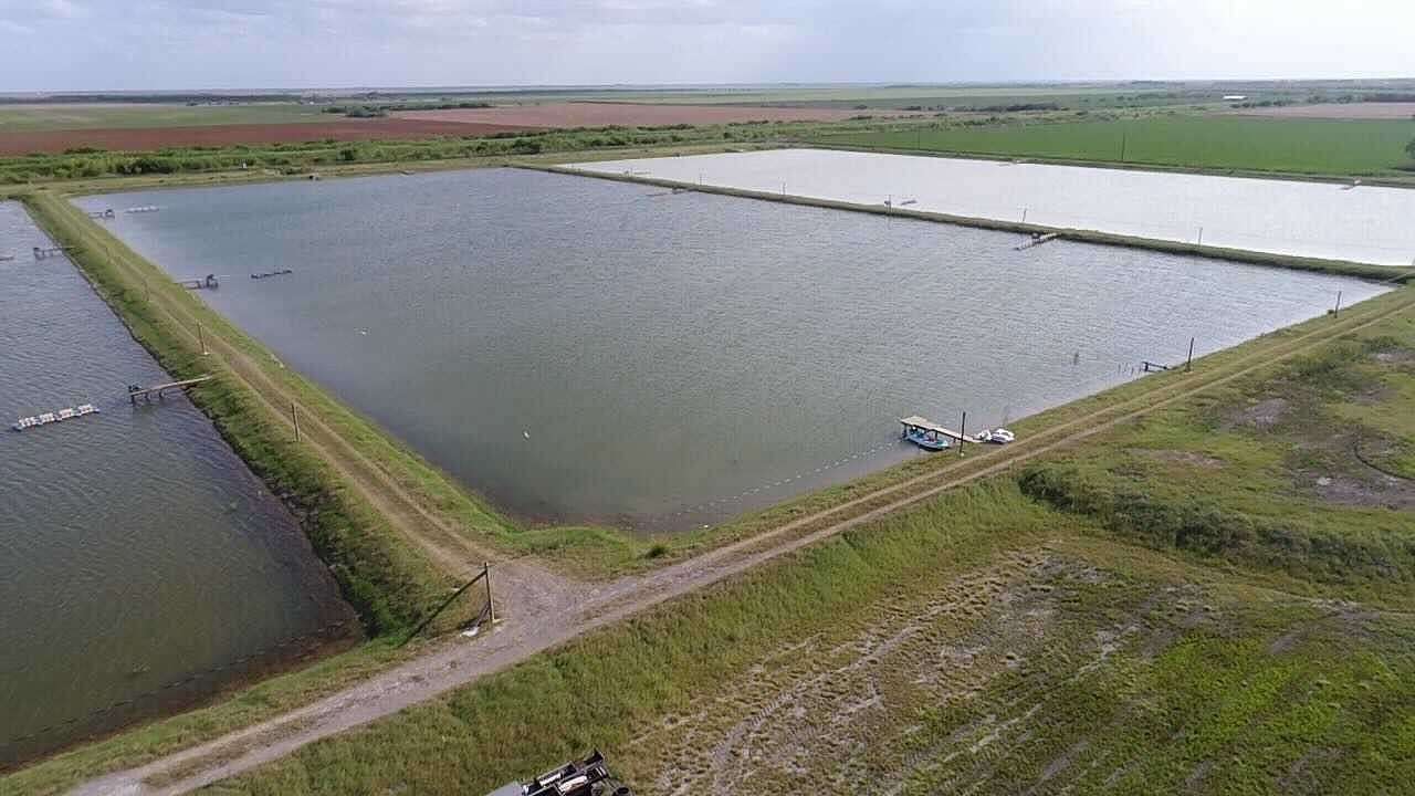 38.8 Acres of Land for Sale in Raymondville, Texas
