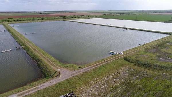 38.8 Acres of Land for Sale in Raymondville, Texas