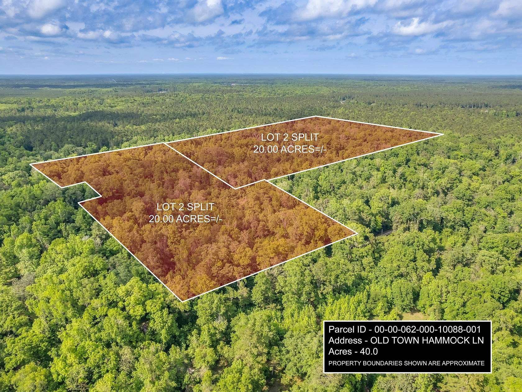 20 Acres of Recreational Land for Sale in Crawfordville, Florida