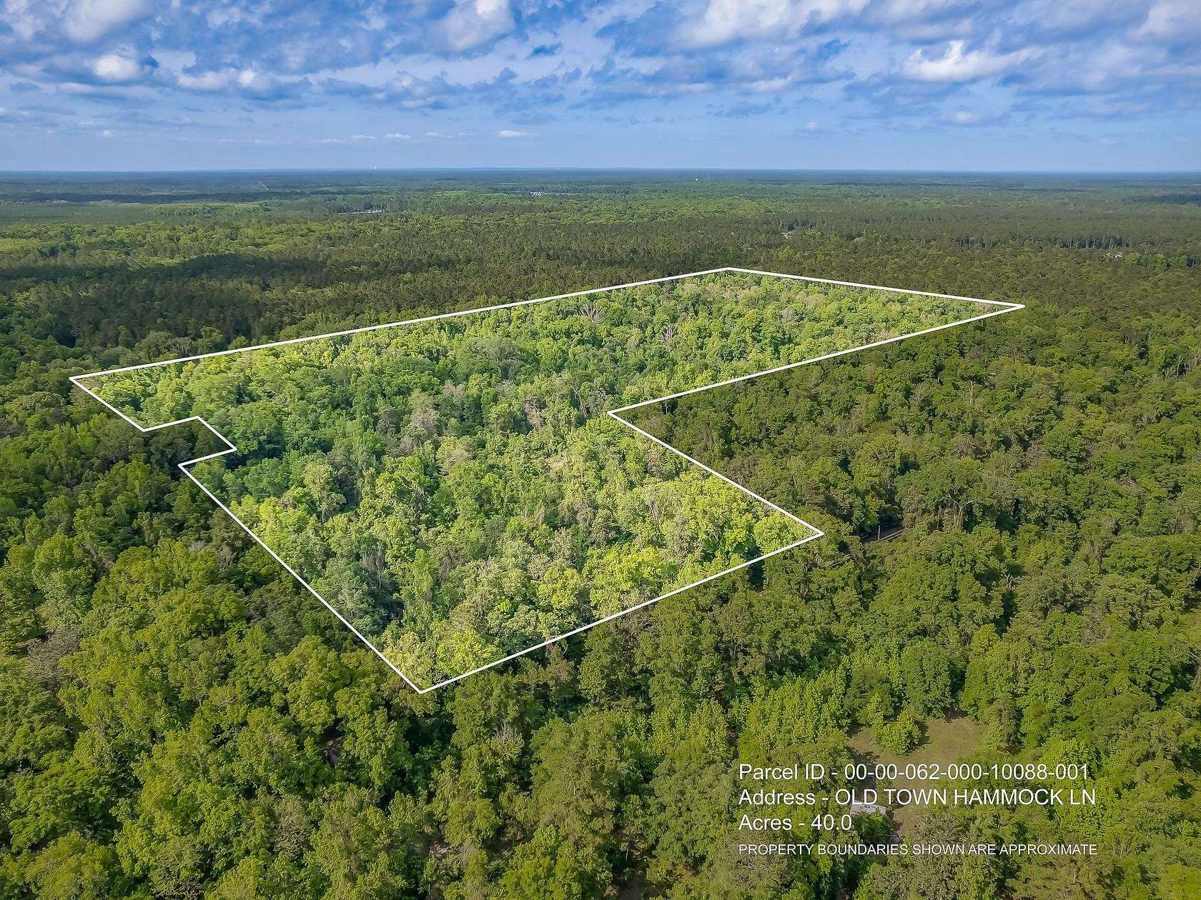 40 Acres of Recreational Land for Sale in Crawfordville, Florida