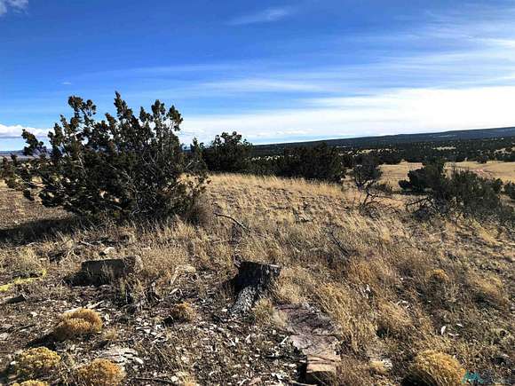 153 Acres of Land for Sale in Thoreau, New Mexico - LandSearch