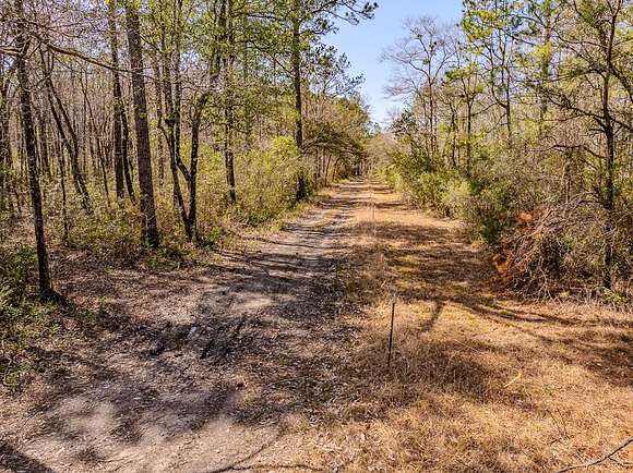 10 Acres of Residential Land for Sale in Satsuma, Alabama