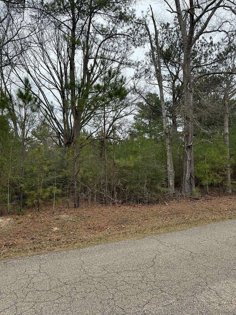 14.1 Acres of Recreational Land for Sale in Poplarville, Mississippi