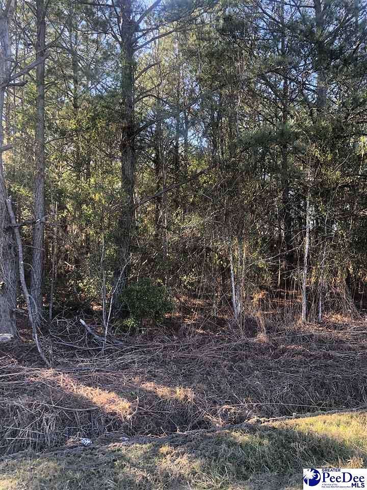 7.6 Acres of Land for Sale in Timmonsville, South Carolina