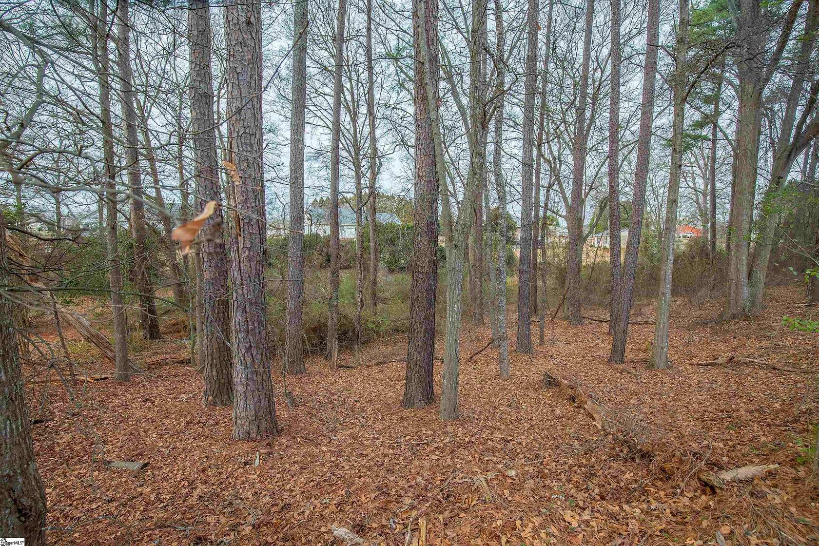 0.95 Acres of Residential Land for Sale in Anderson, South Carolina