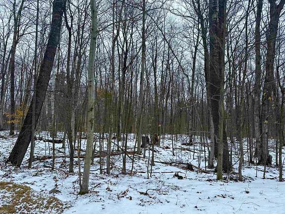 10 Acres of Residential Land for Sale in Cheboygan, Michigan