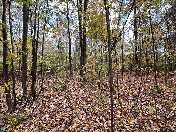 1.5 Acres of Residential Land for Sale in Valley City, Ohio