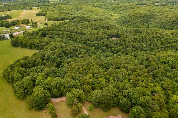 22.5 Acres of Recreational Land for Sale in Ozark, Missouri