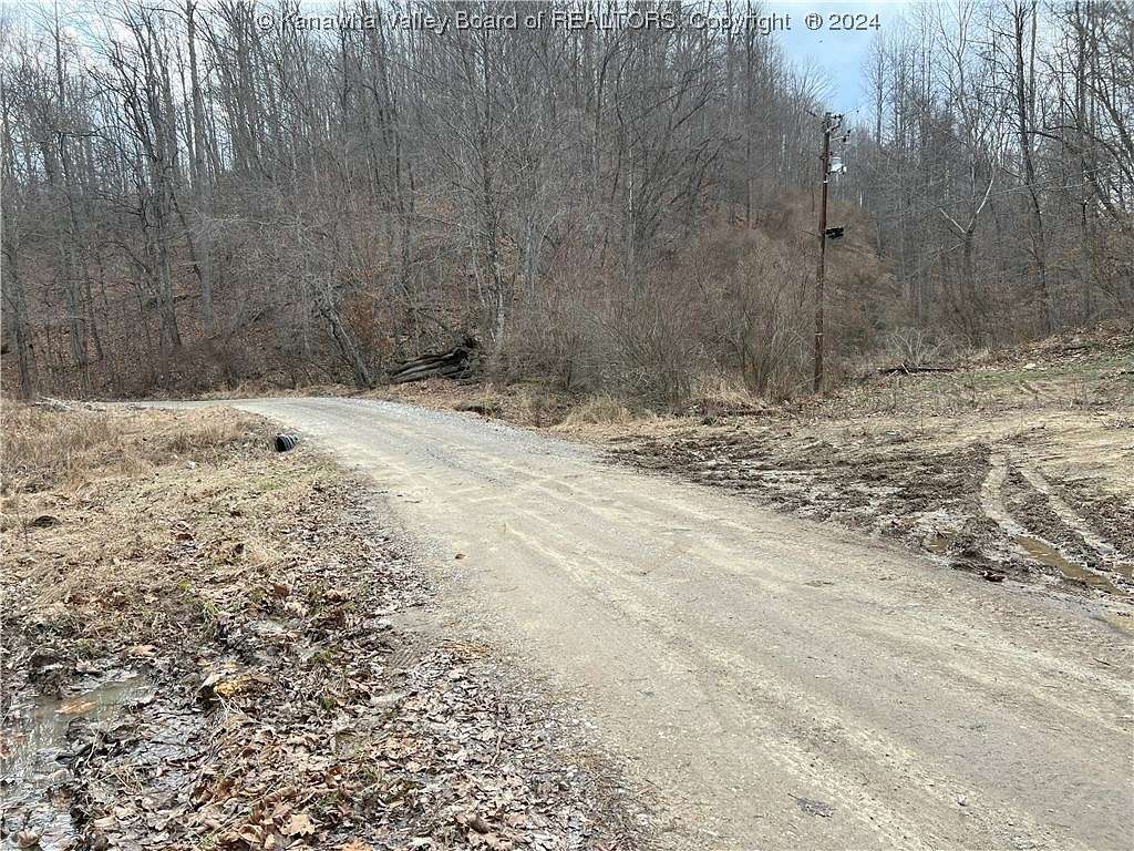 78.6 Acres of Land for Sale in Spurlockville, West Virginia