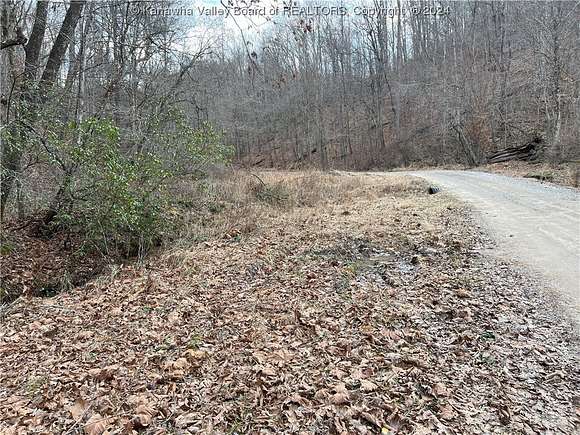78.6 Acres of Land for Sale in Spurlockville, West Virginia