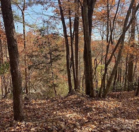 0.3 Acres of Residential Land for Sale in Lake Lure, North Carolina