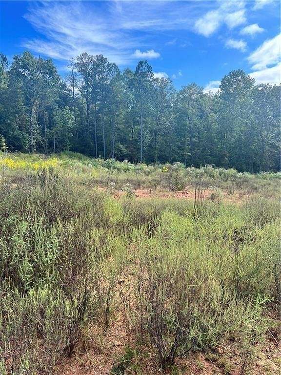 1.2 Acres of Land for Sale in Cusseta, Alabama