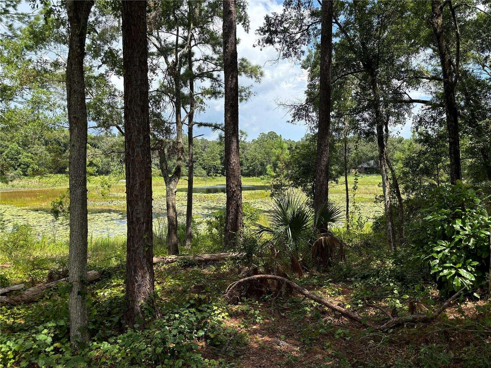 0.29 Acres of Residential Land for Sale in Ocklawaha, Florida