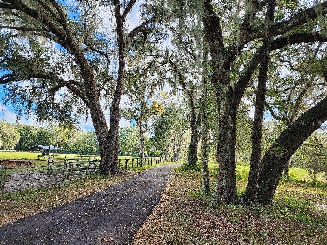 25 Acres of Agricultural Land for Sale in Morriston, Florida