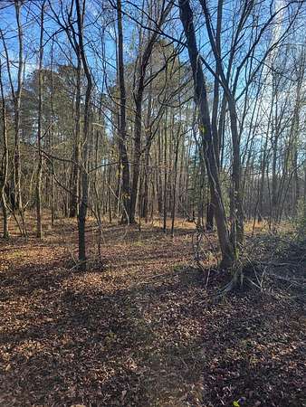 3.5 Acres of Residential Land for Sale in Manning, South Carolina