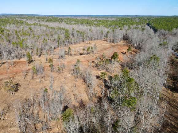16 Acres of Land for Sale in Cragford, Alabama
