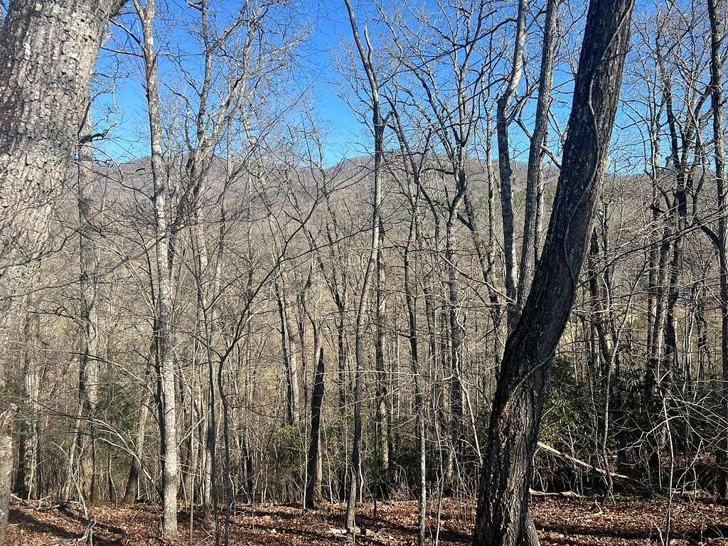 1.19 Acres of Residential Land for Sale in Franklin, North Carolina