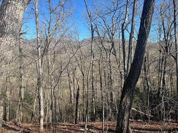 1.19 Acres of Residential Land for Sale in Franklin, North Carolina
