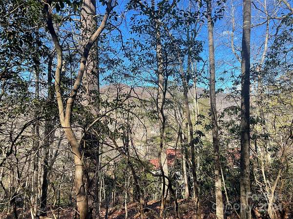 0.64 Acres of Residential Land for Sale in Black Mountain, North Carolina