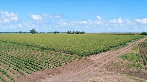 90.4 Acres of Agricultural Land for Sale in Bryan, Texas