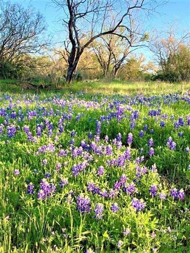 5 Acres of Residential Land with Home for Sale in Llano, Texas