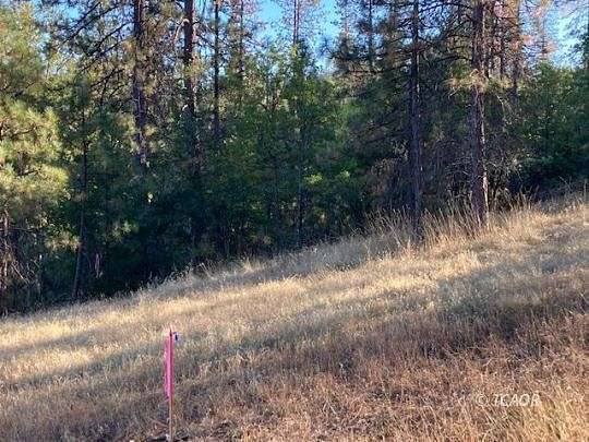 1.9 Acres of Residential Land for Sale in Weaverville, California