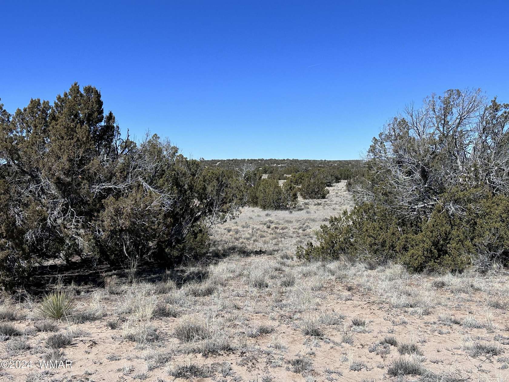 10 Acres of Land for Sale in St. Johns, Arizona